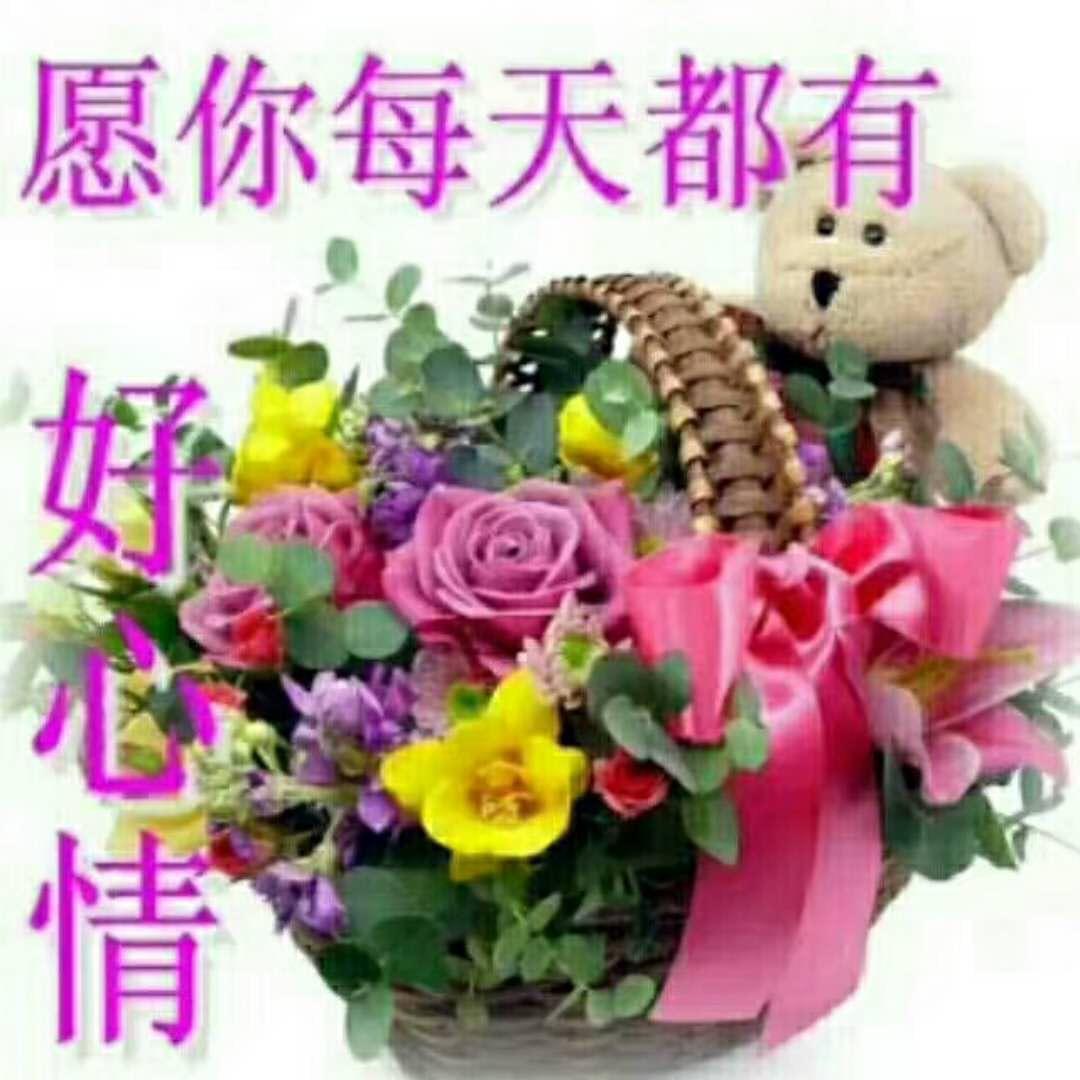 平淡的生活