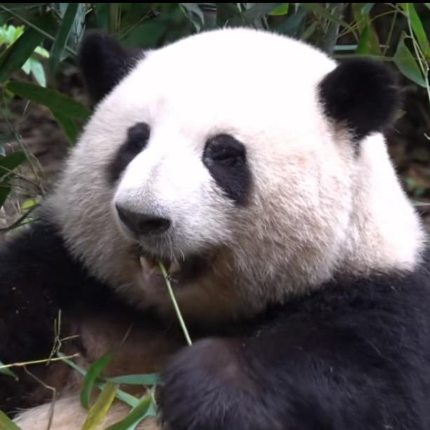 大有（橱窗营业中）