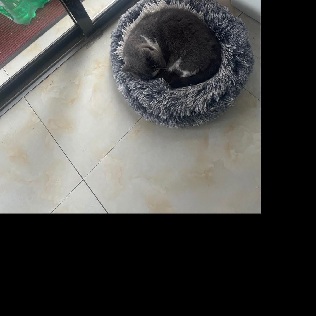 晚安.
