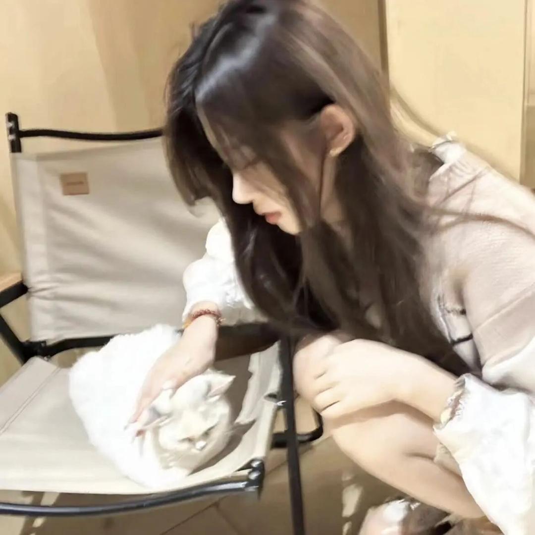 谁是HH