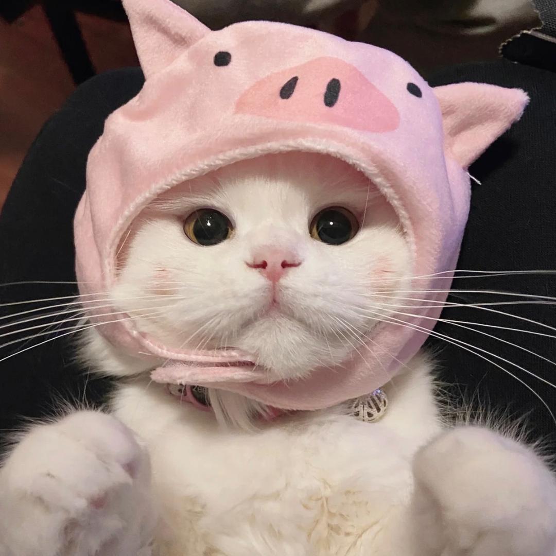徐佳伊