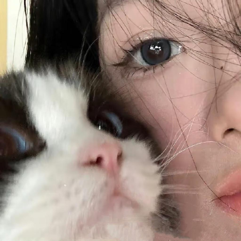 橘味猫猫