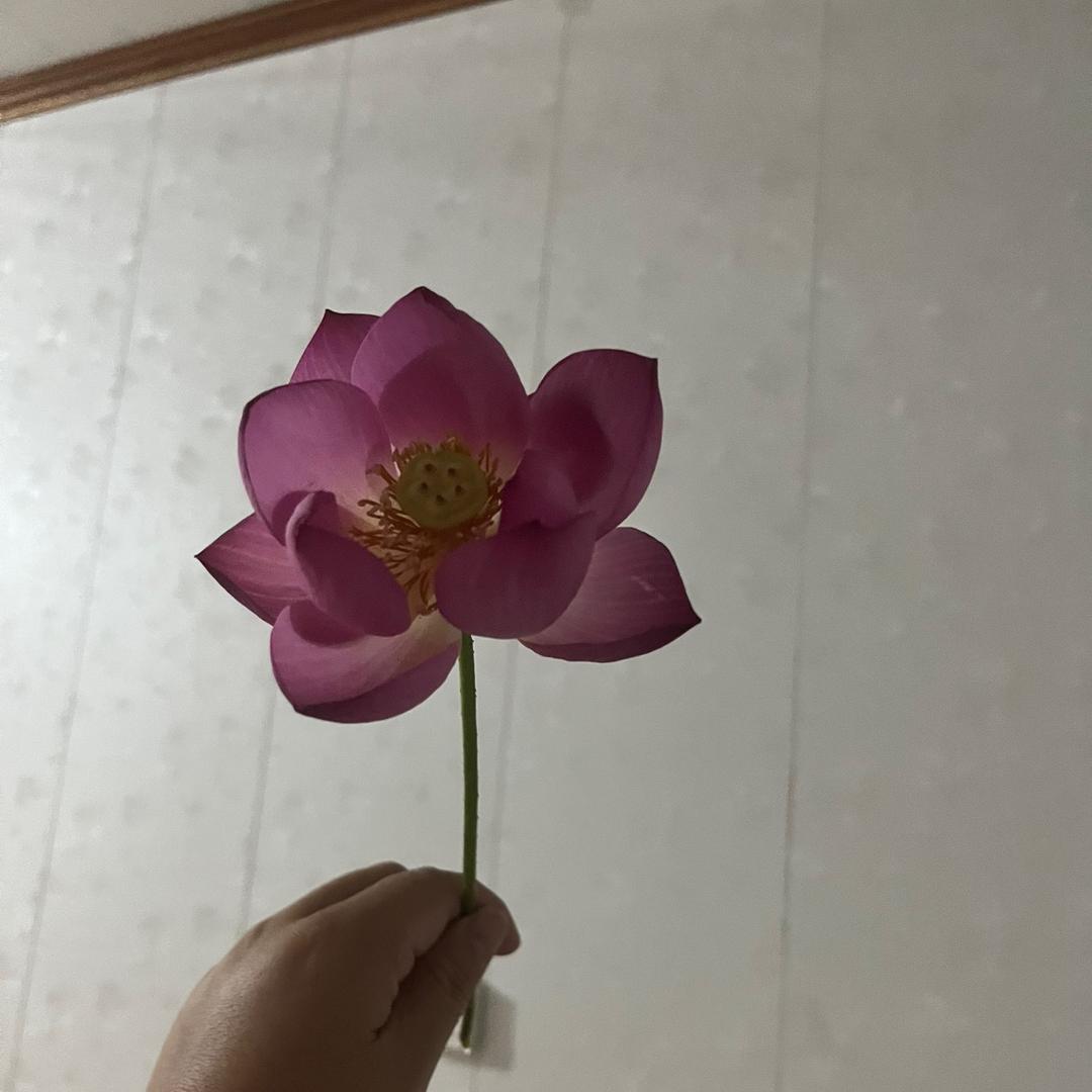 🍀小雨雨🍀
