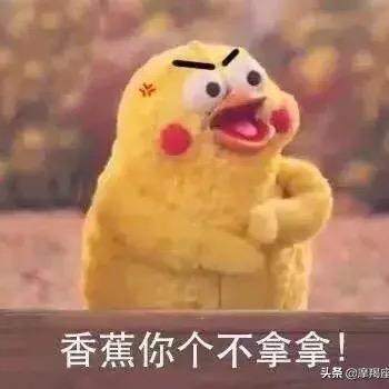 阿拉玛战士