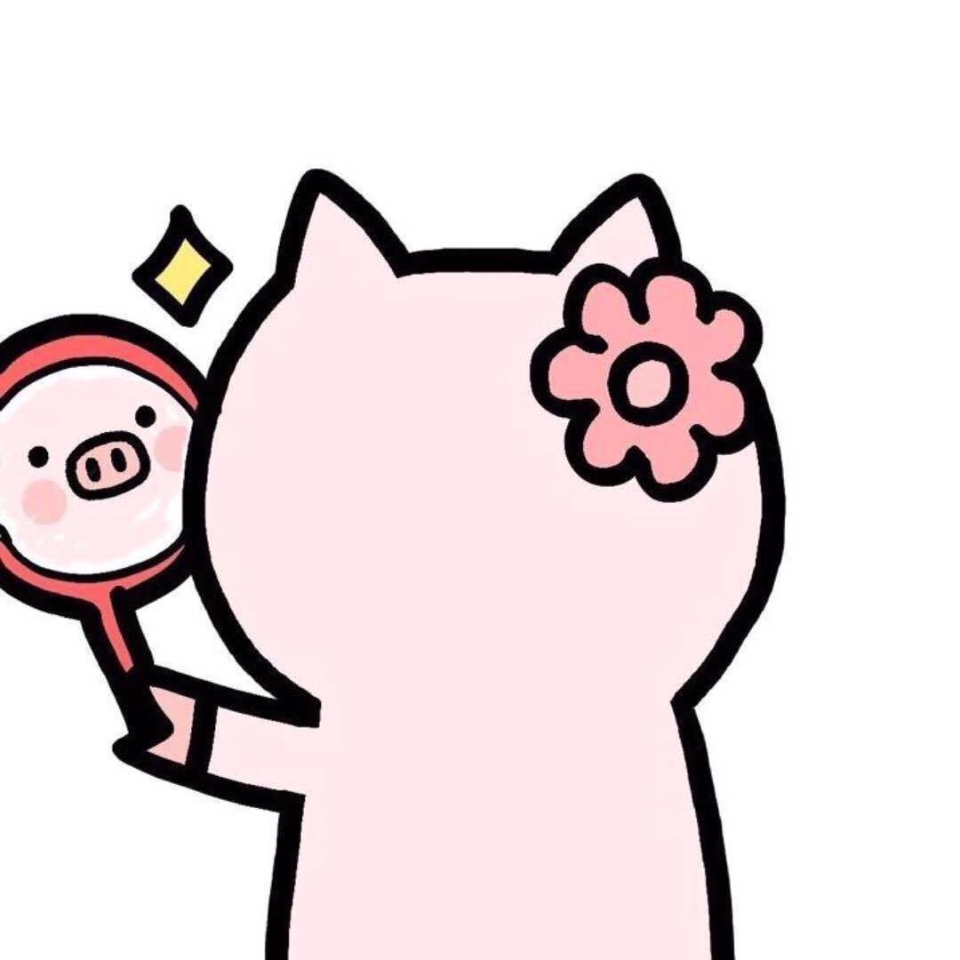 🌈努力总会发光💫