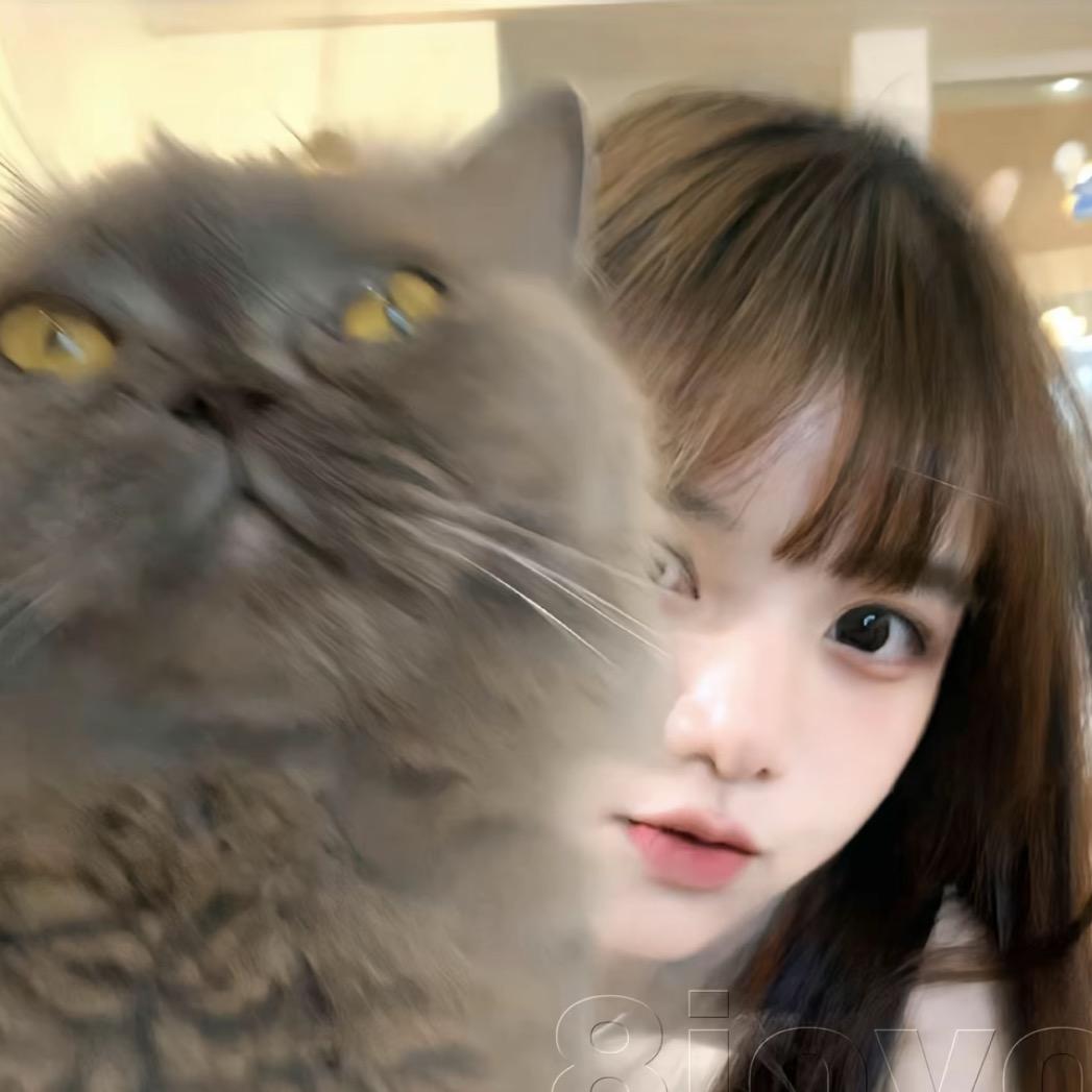陈洛佳.