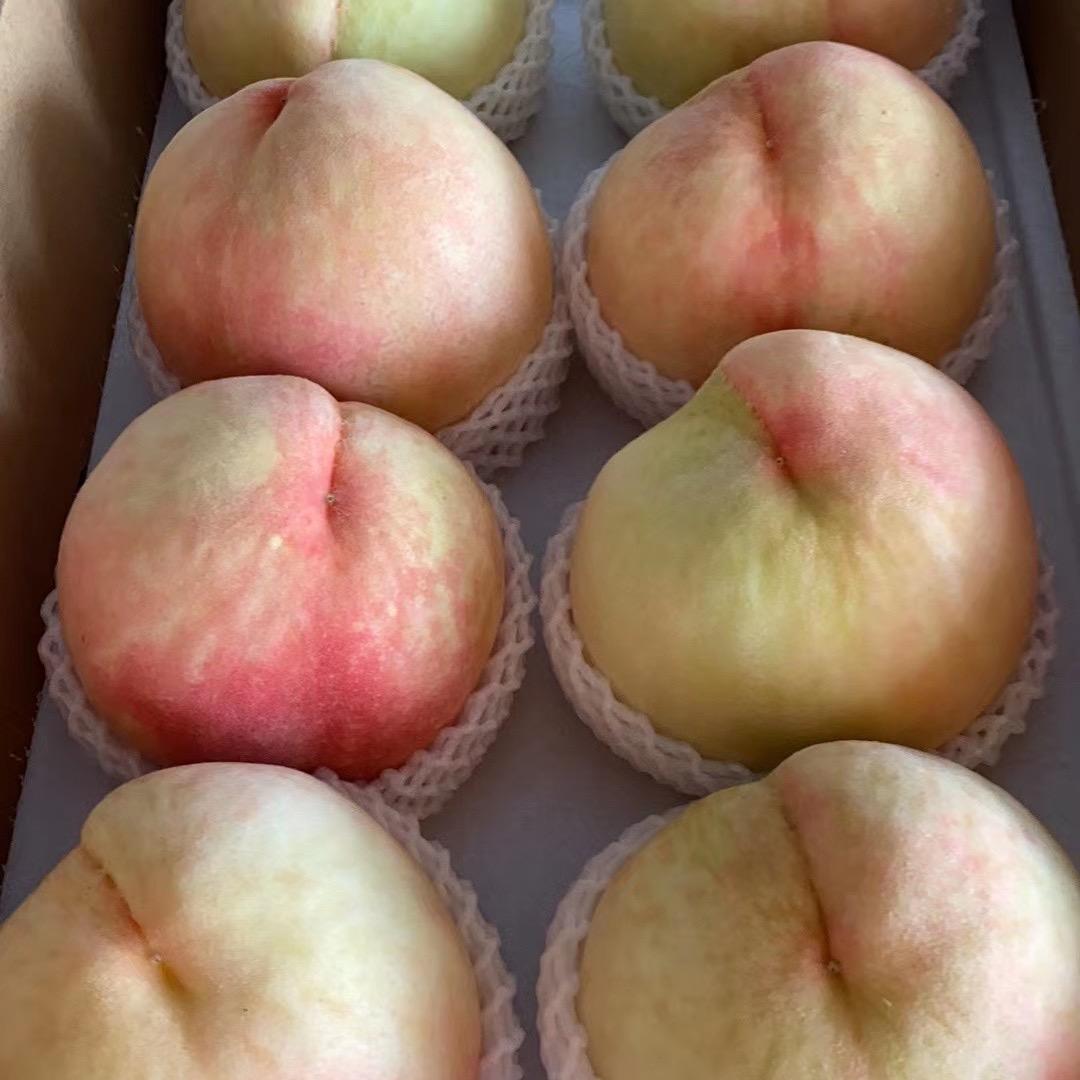 南汇新场正宗水蜜桃