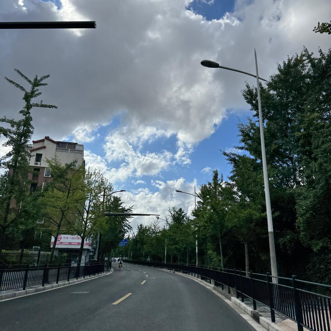 十七-
