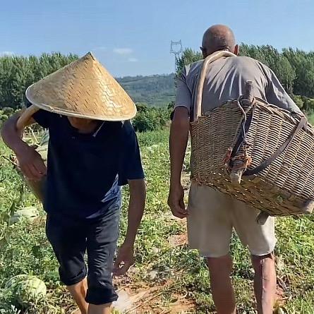 巴旦木鲜果种植基地