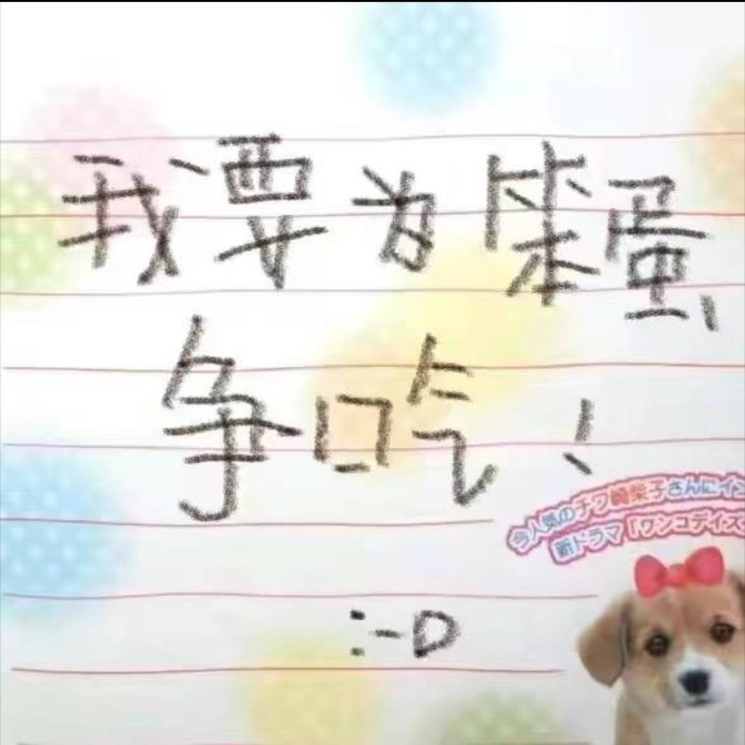 汉堡堡小婷
