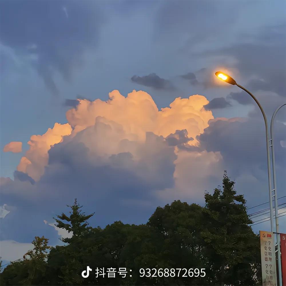 王炸
