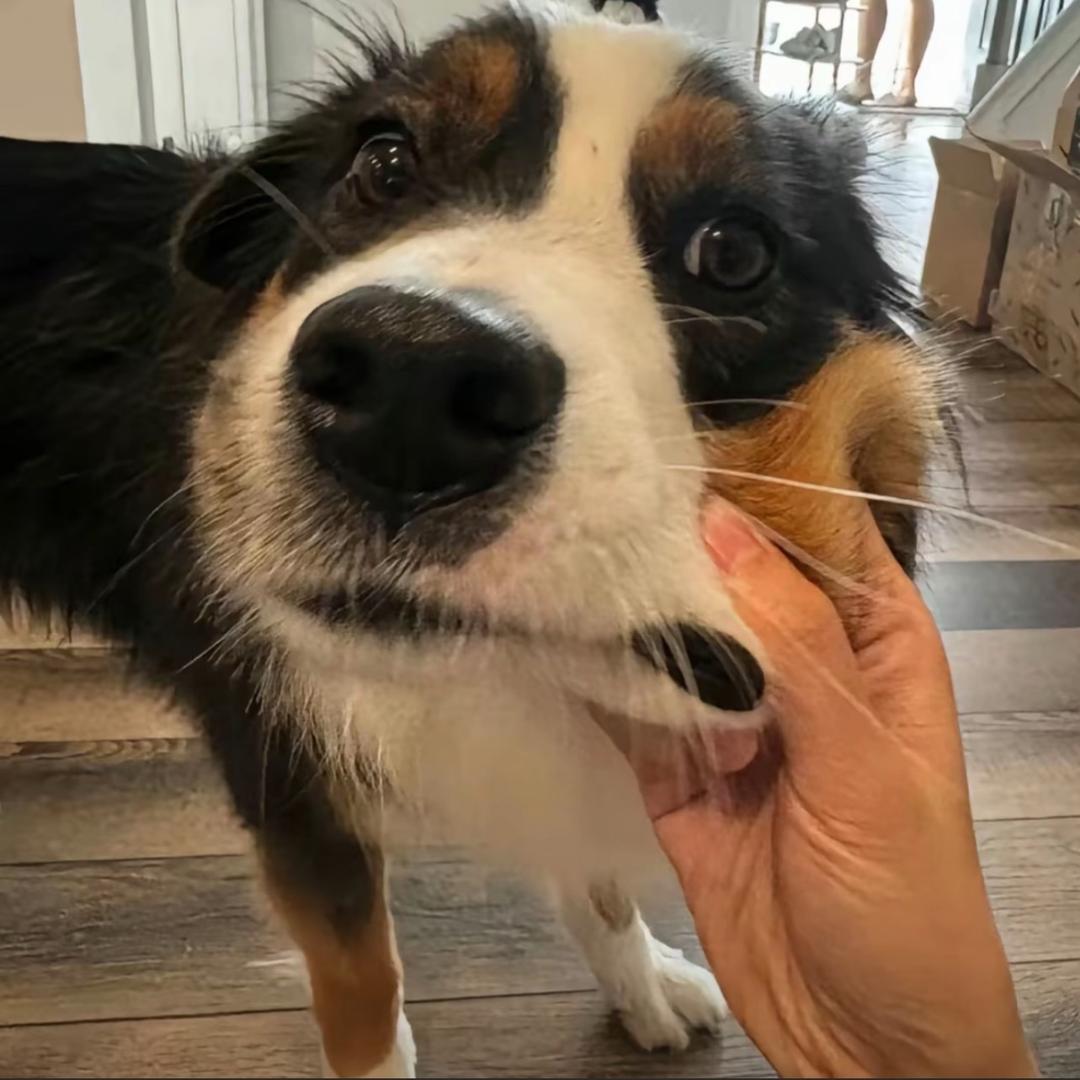 天黑了我得回家