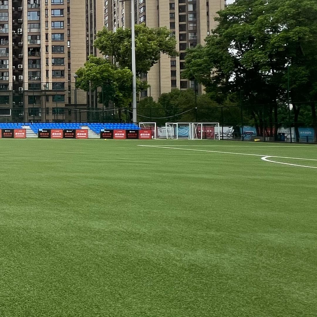 珂珂森林