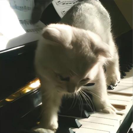 ˃ʍ˂