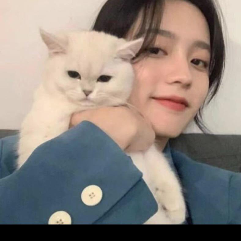 静静百货 （视频同款橱窗里）