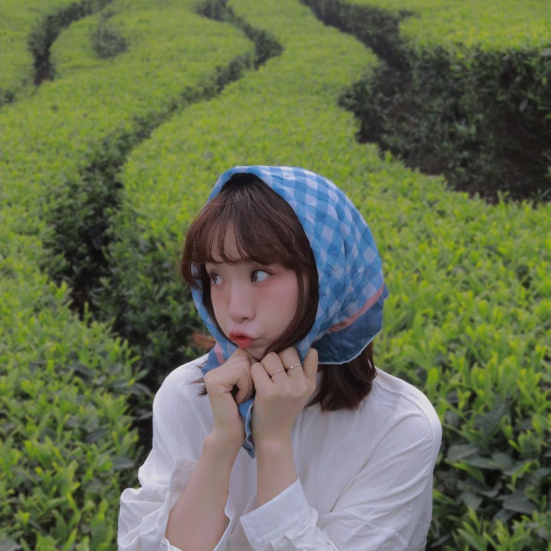 梅岭茶记