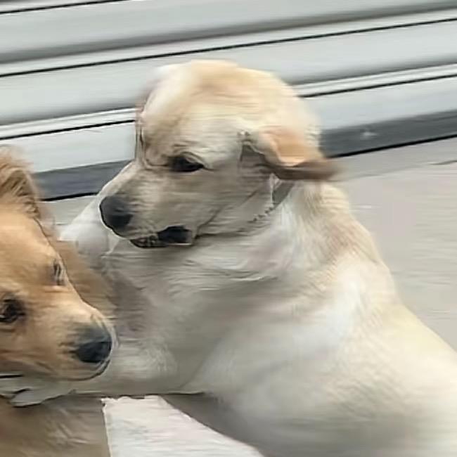 露🤪