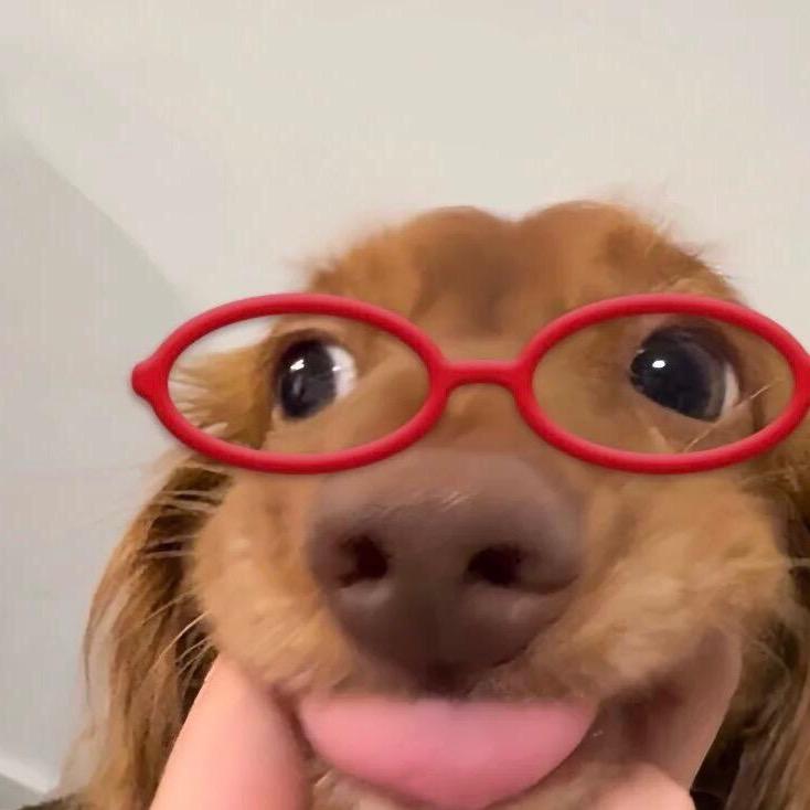 爱买假睫毛