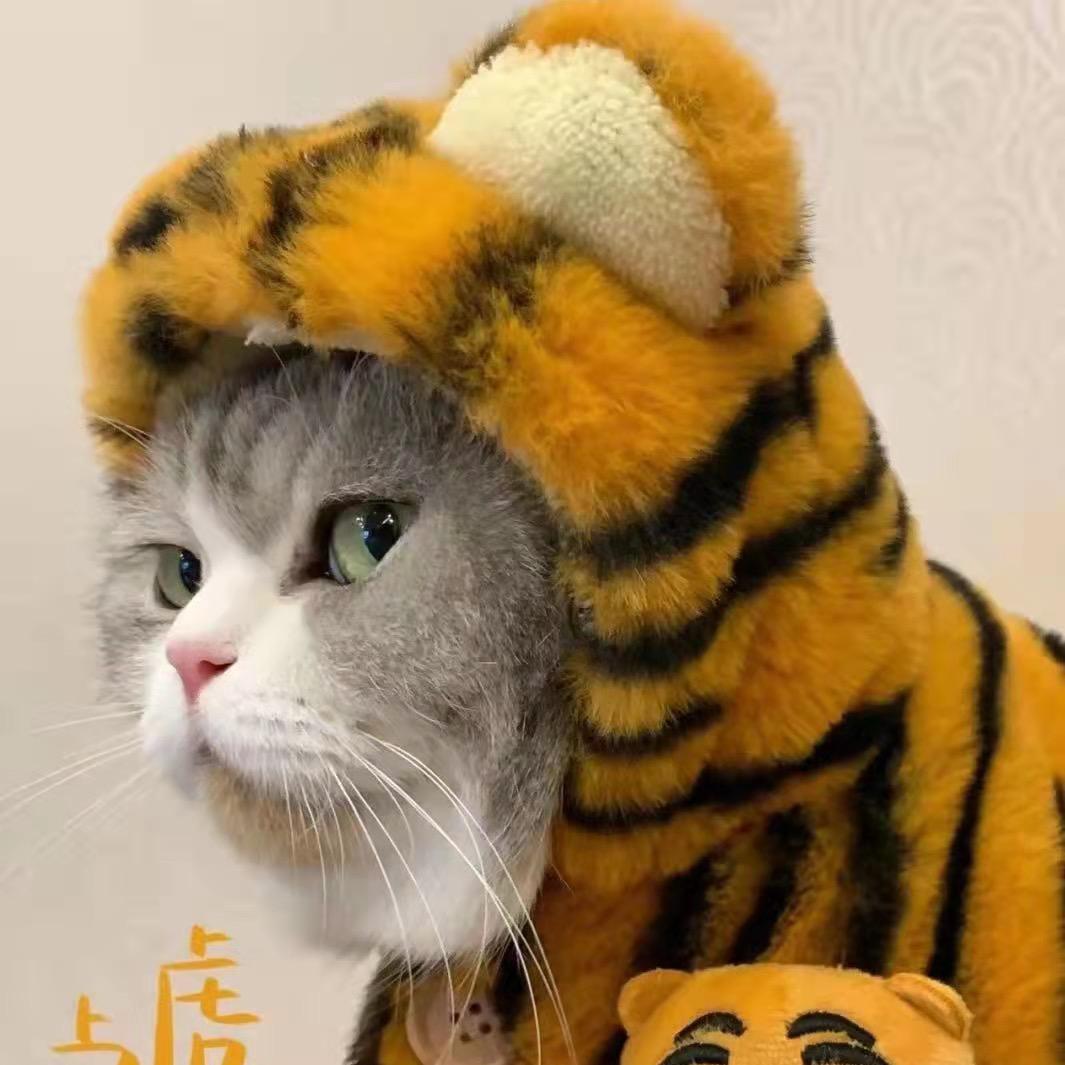 菇娘很赞、