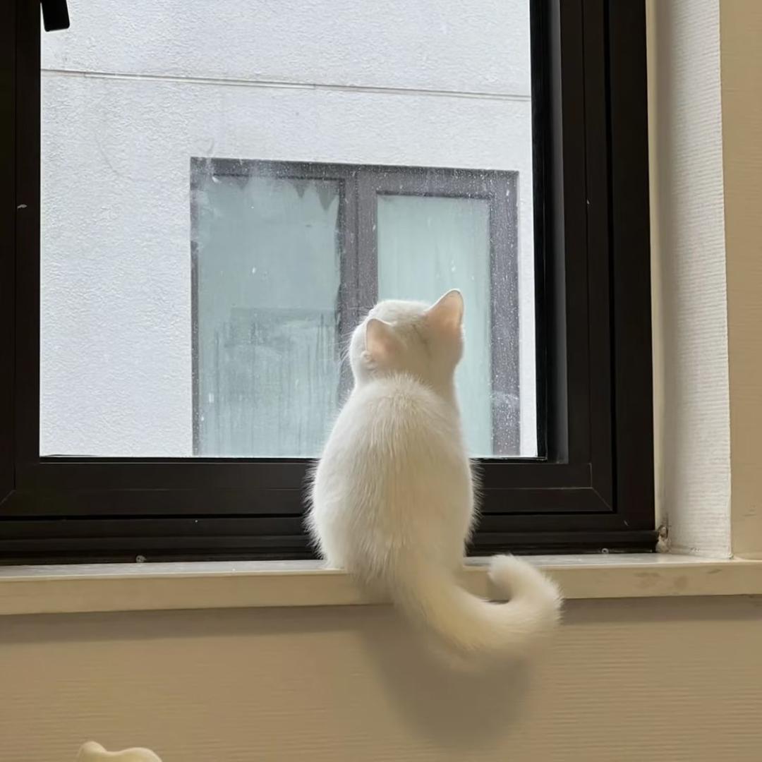 云里