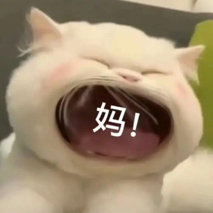 595