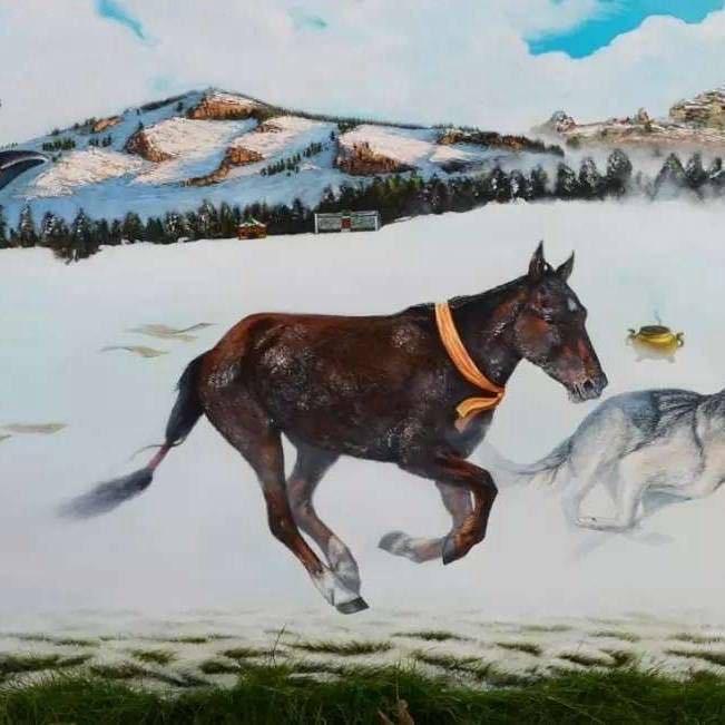 sasa🐎