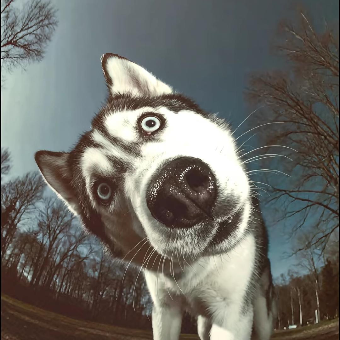 臭小