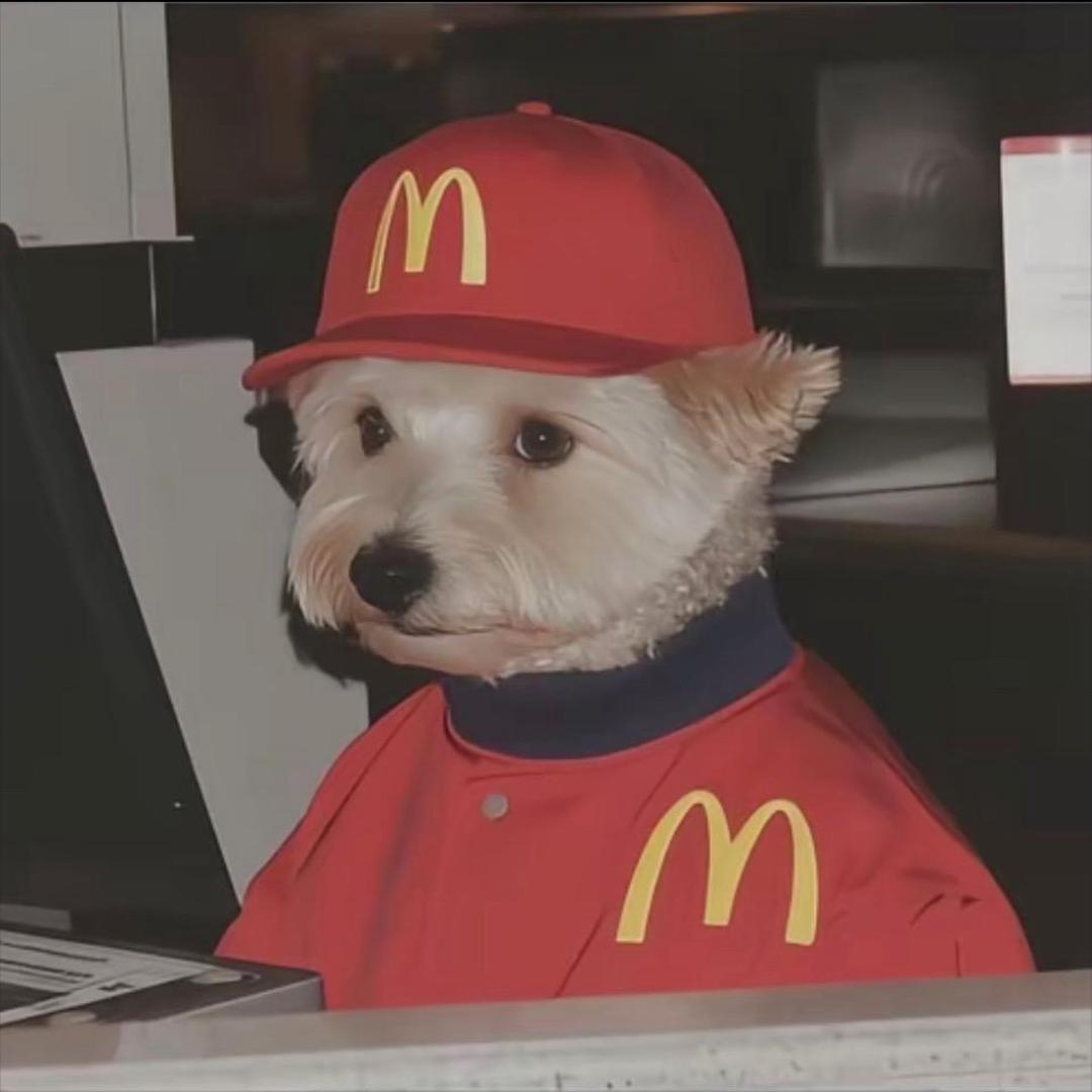 西红柿炒番茄🍅