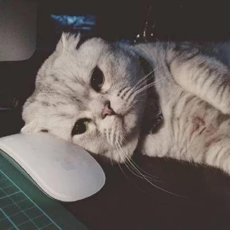 心辰影视