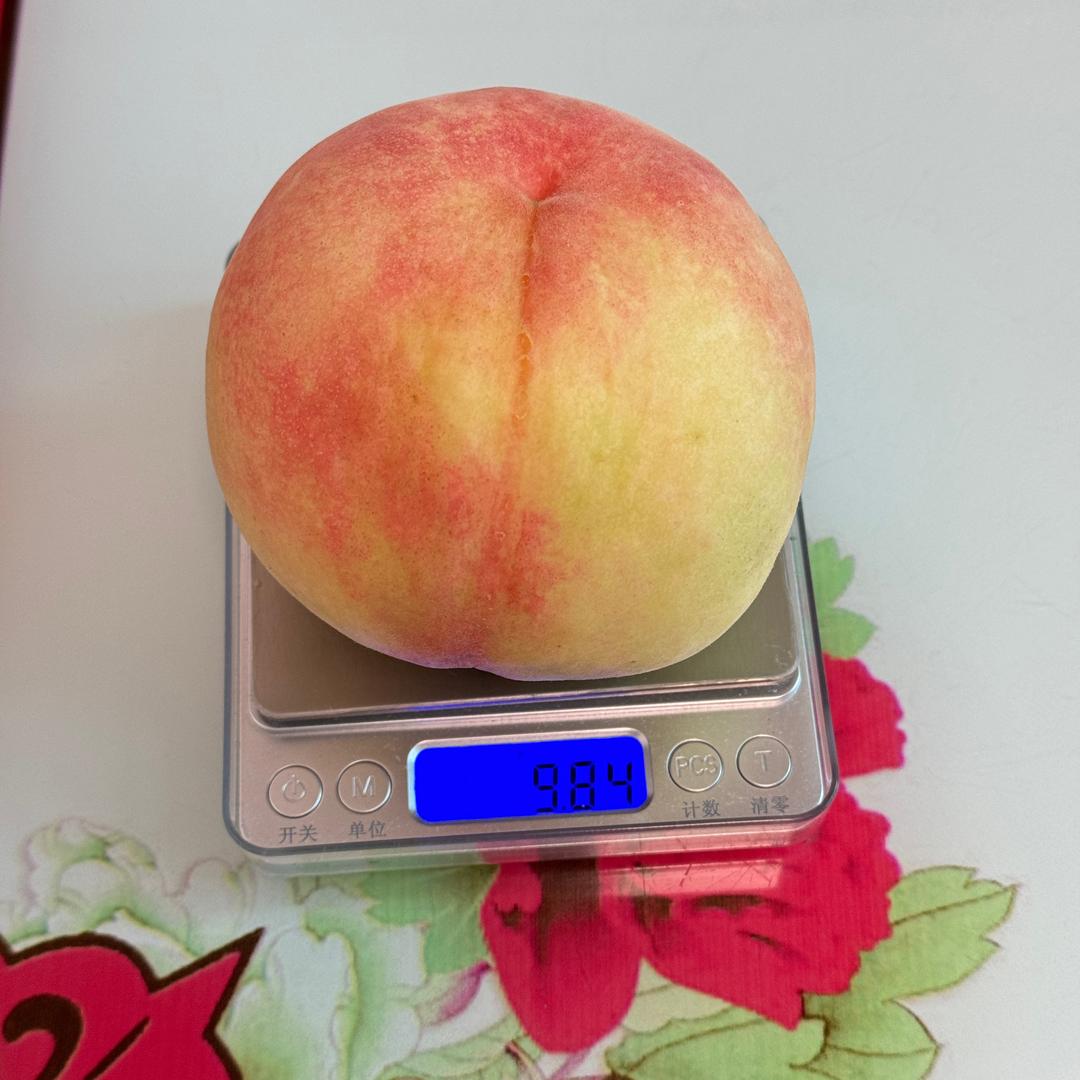 阳山桃之夭夭蜜桃坊