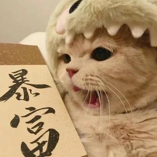 养乐多多