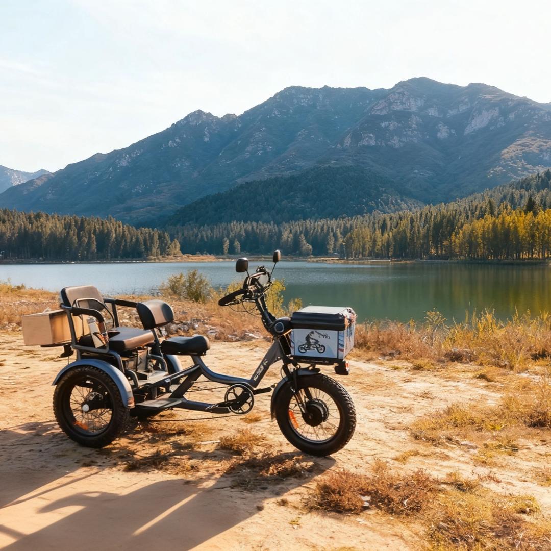 茵宝高端老人助力三轮车