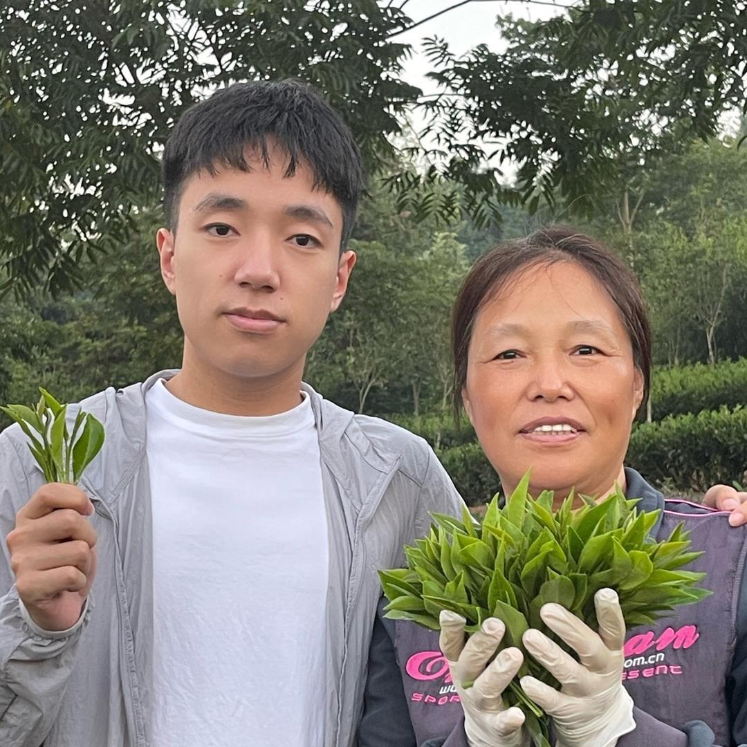 闽香茶业商行（小吴白茶）
