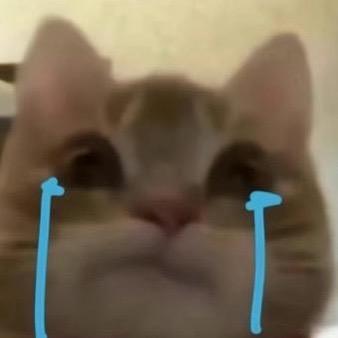 瞌睡来登了