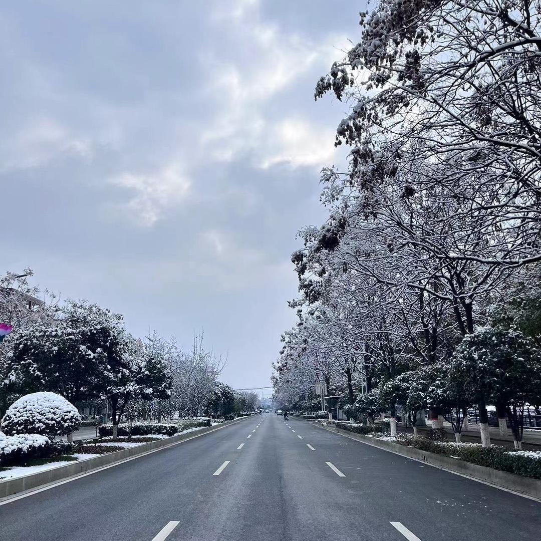 就我烦吃榴莲吗