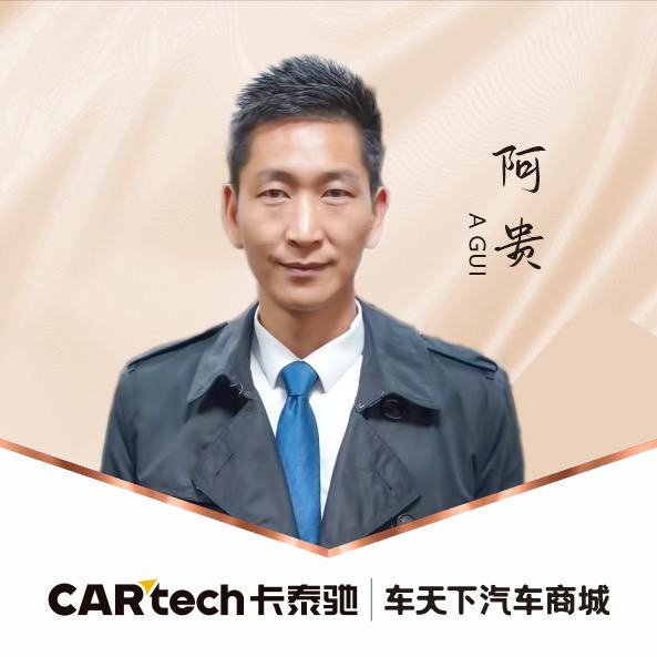 卡泰驰｜车天下汽车商城
