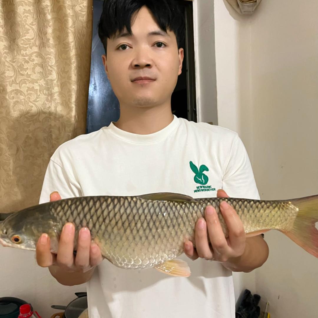 陈正英