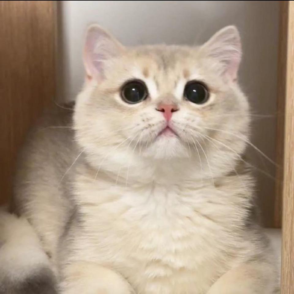 翻翻～～～～～～～^_^