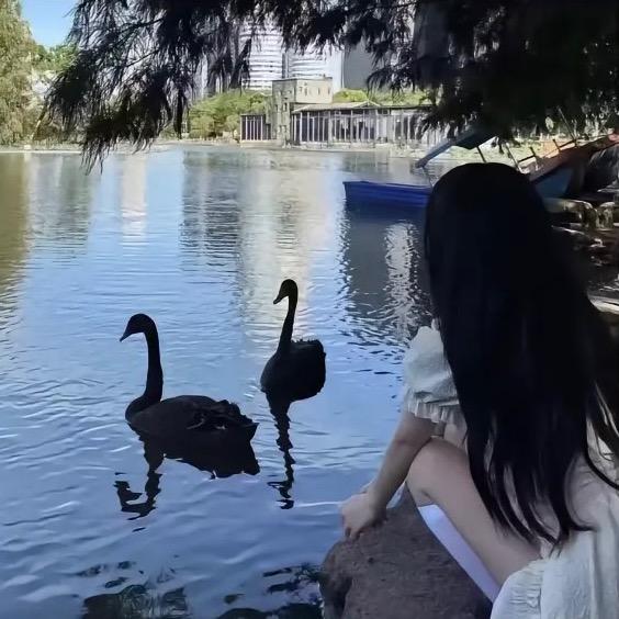蒯