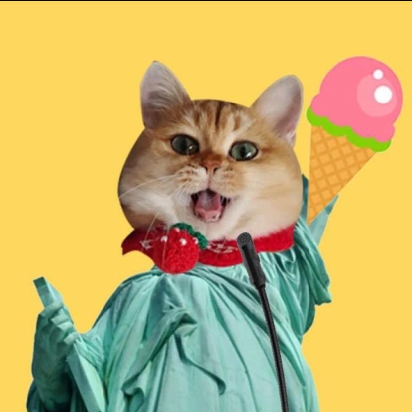 毛毛是只大肥猫