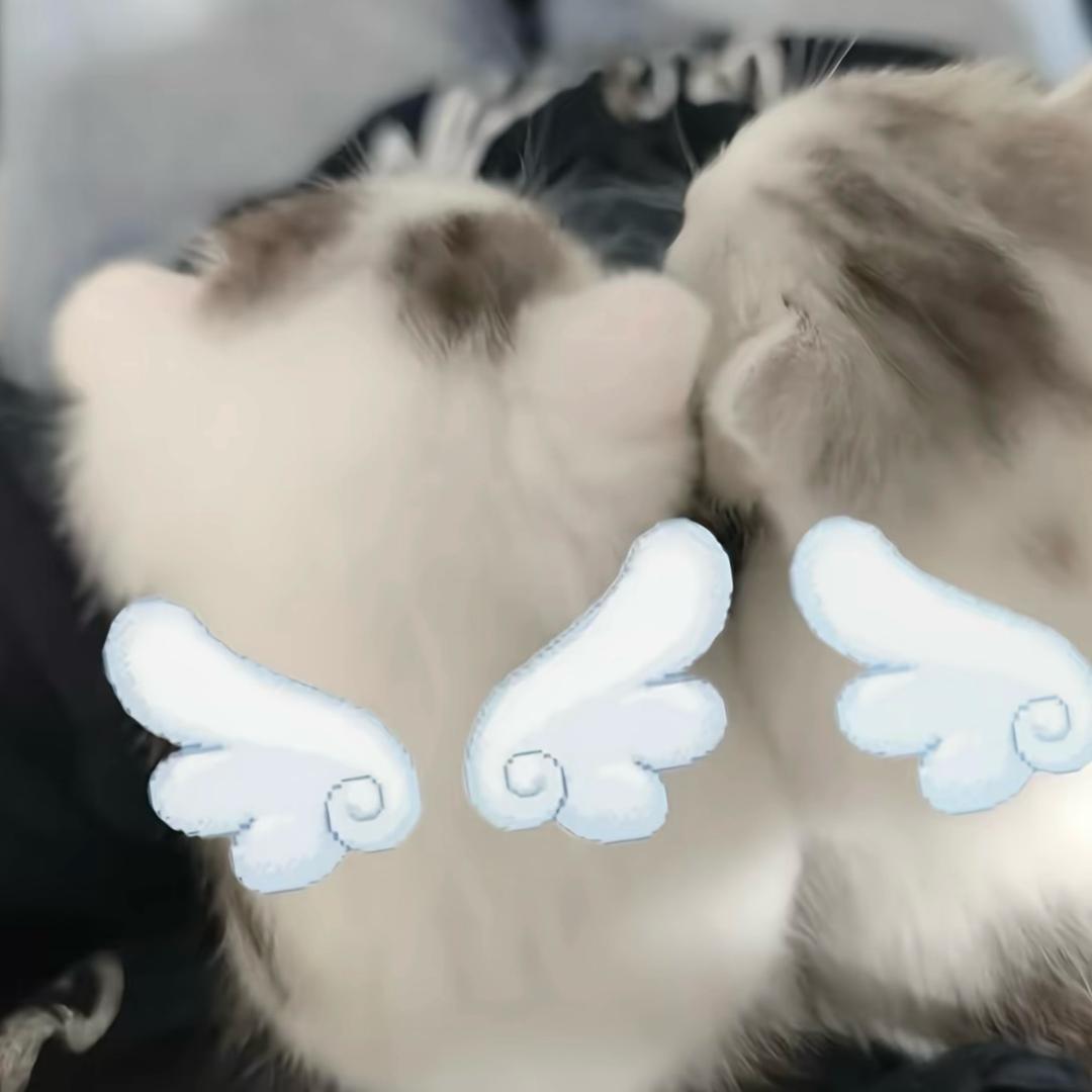 zzzZzZ🪵