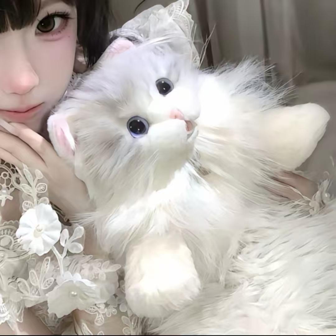 兰