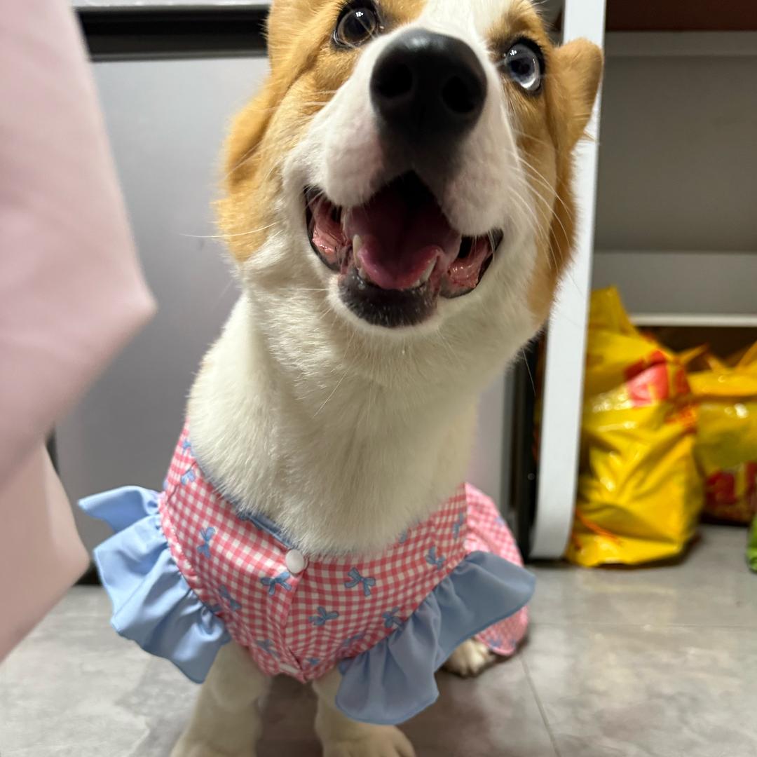 螺蛳粉宝宝~🐶🐩