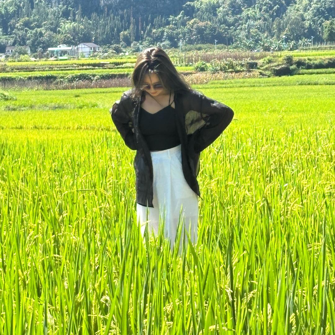 兴义foko法式蛋糕潇潇