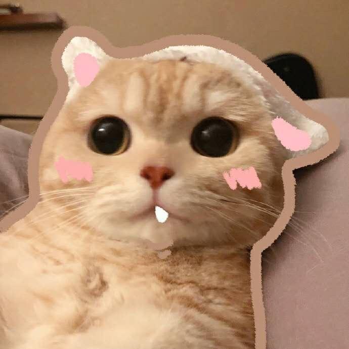 小行星cc