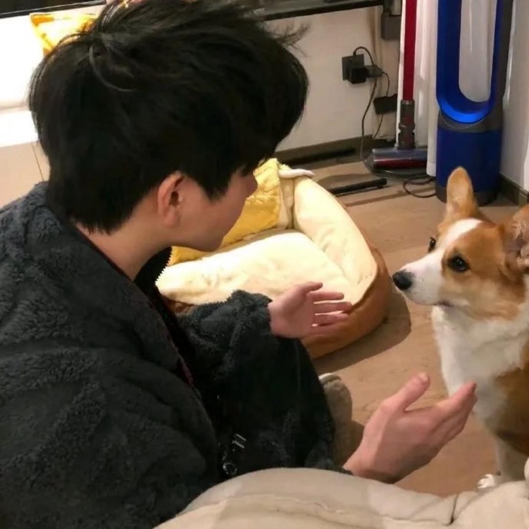 知日.