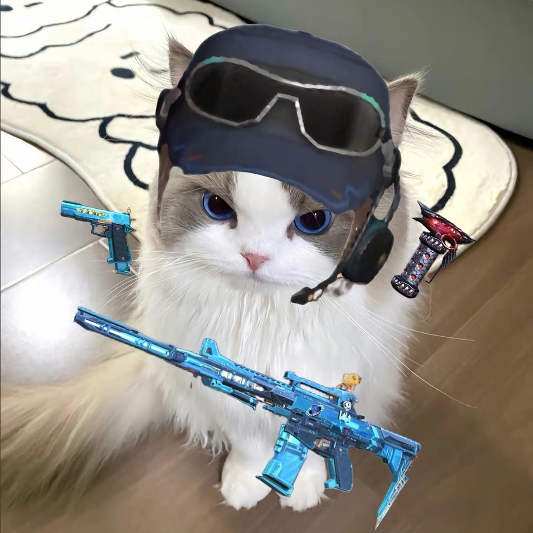 cfm小羽