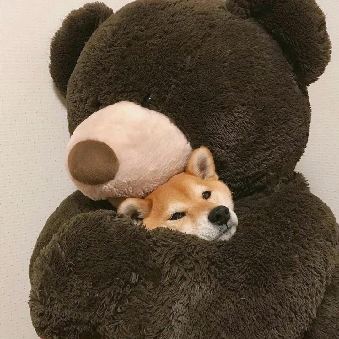 @静静如梦