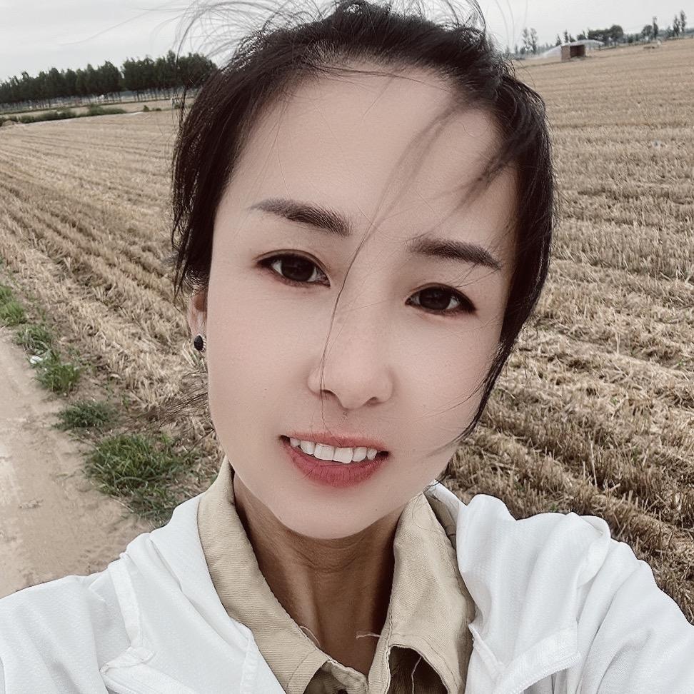 开心果小燕子