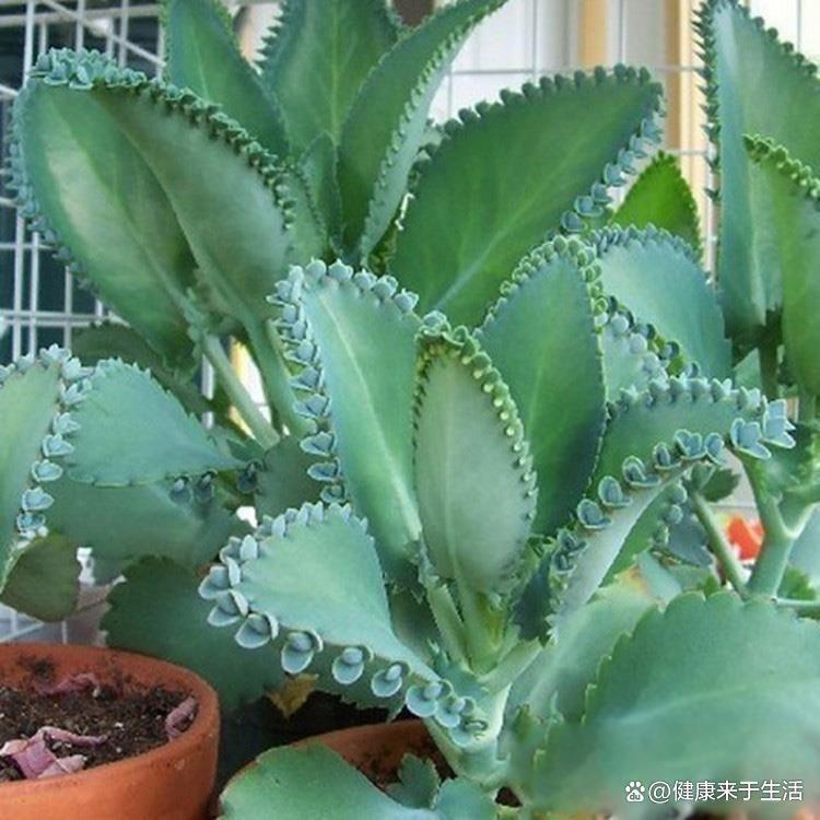 林亿航空科技